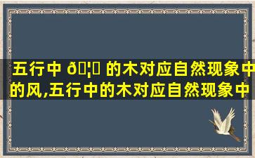 五行中 🦅 的木对应自然现象中的风,五行中的木对应自然现象中的风是对还是错